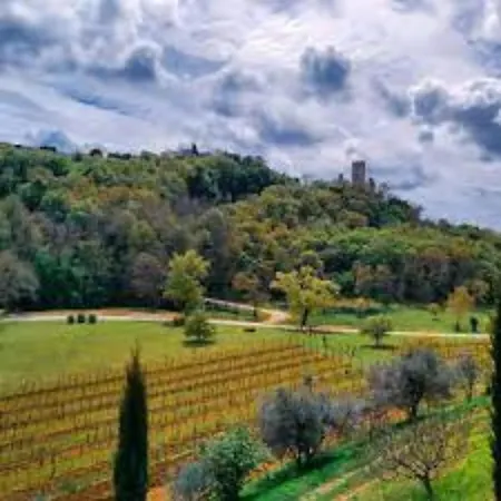 Salvore - New Luxury House, Heated Pool, Near Beaches, Playroom - Istria Savudrija