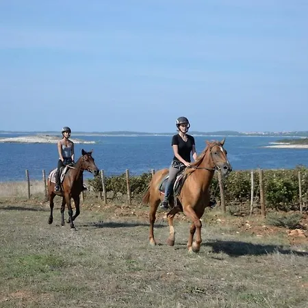 Salvore - New Luxury House, Heated Pool, Near Beaches, Playroom - Istria * Savudrija