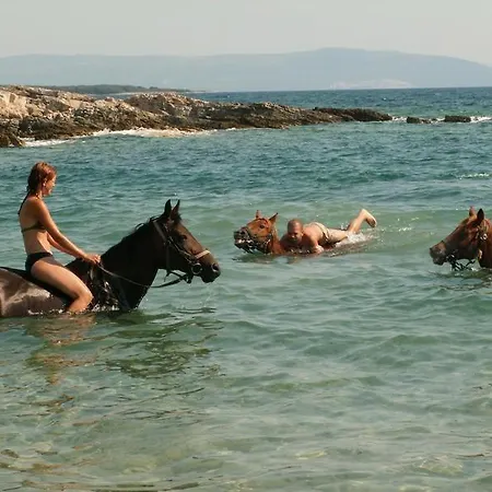Villa Salvore - New Luxury House, Heated Pool, Near Beaches, Playroom - Istria *
